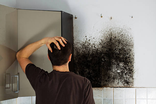 Best Residential Mold Removal  in Dock Junction, GA